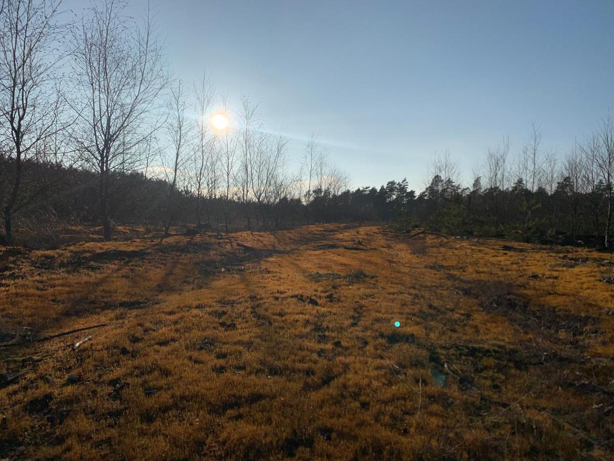 Agroturystyka Gesiniec Stare Osieczno Kültér fotó