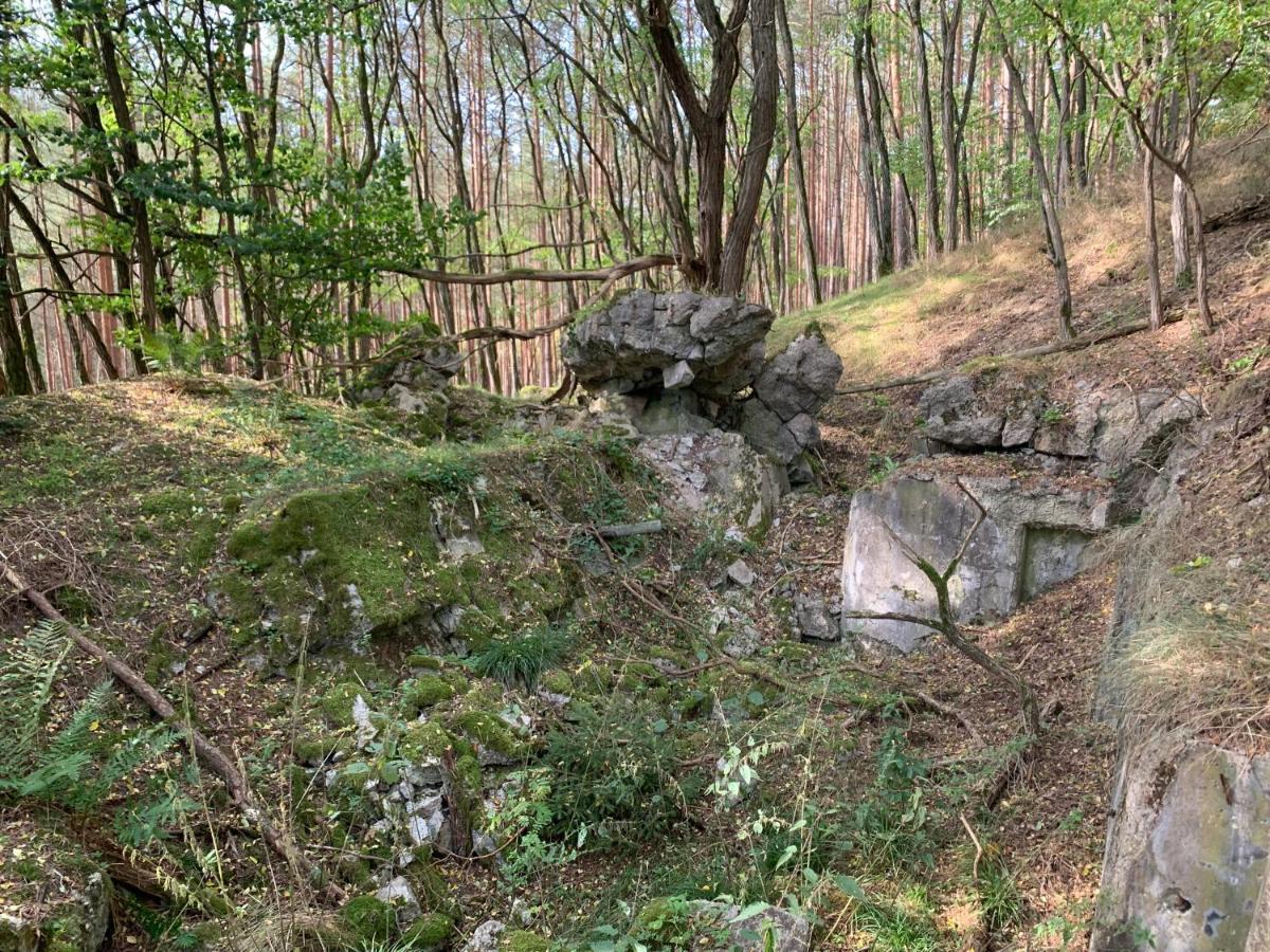 Agroturystyka Gesiniec Stare Osieczno Kültér fotó