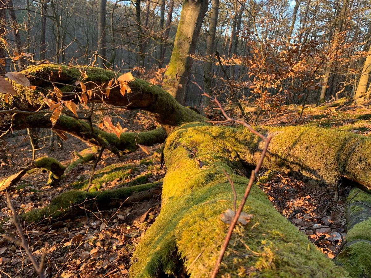 Agroturystyka Gesiniec Stare Osieczno Kültér fotó
