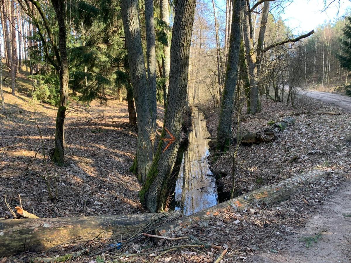 Agroturystyka Gesiniec Stare Osieczno Kültér fotó