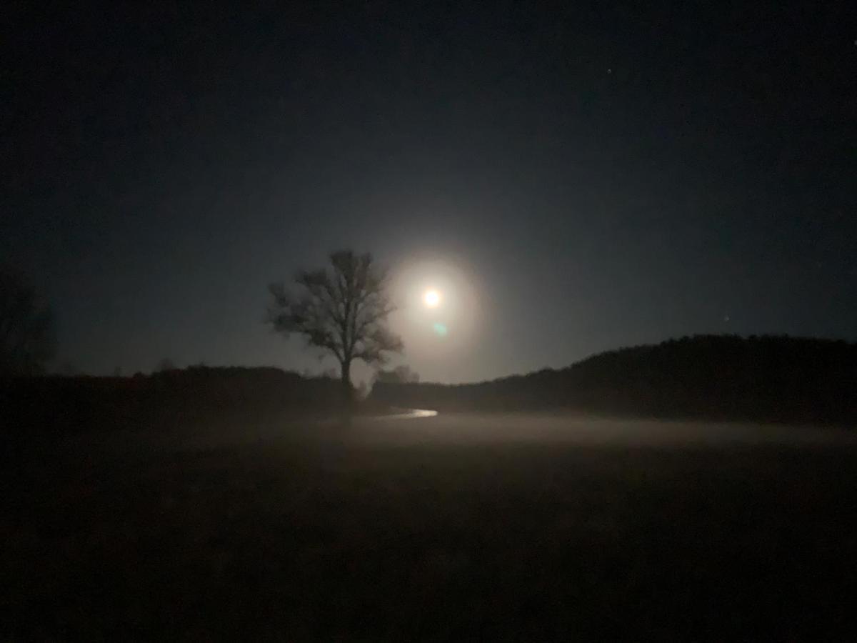 Agroturystyka Gesiniec Stare Osieczno Kültér fotó